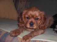 nelly08.jpg