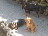 doma_venku32.jpg