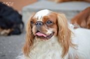 DSC_0450.jpg