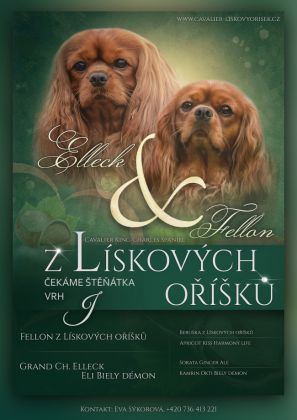 čekáme vrh J