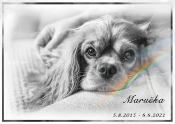 Dorotka