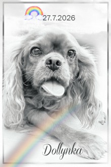 Dolly