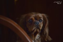 DSC_0500.jpg