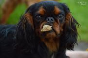 DSC_0472.jpg
