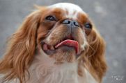 DSC_0473.jpg