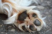 DSC_0478.jpg