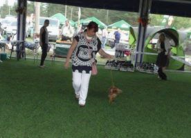 National Dogshow in Wasilków