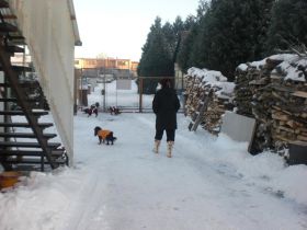 zima