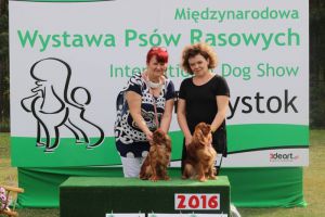 National Dogshow in Wasilków