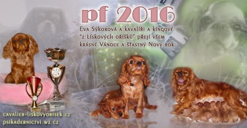 PF 2016