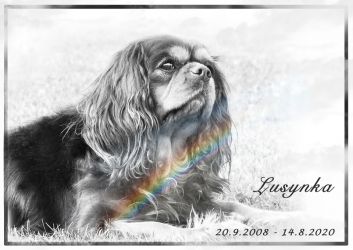 Lusynka