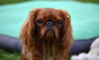 DSC_0546.jpg