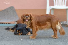 DSC_0445.jpg