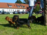 holky_pruhonice2009_05.jpg