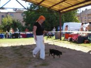 mb_2008_04.jpg