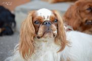 DSC_0451.jpg
