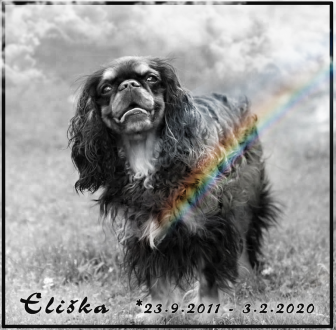 Eliška