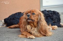 DSC_0435.jpg
