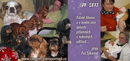 index_eva_pf2013_mensi